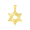 14k Yellow Gold Textured Star of David Pendant - Melliflus Pendants
