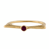 Aegis Ring with Ruby - Melliflus