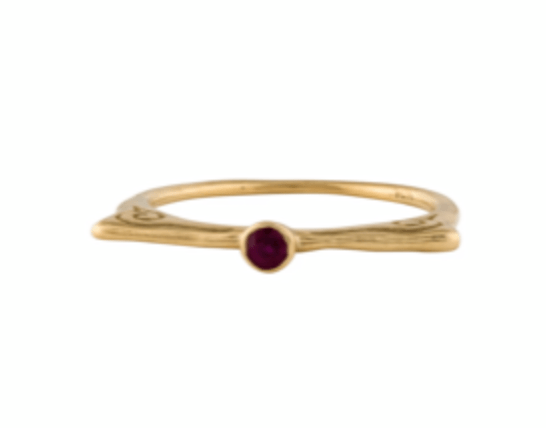 Aegis Ring with Ruby - Melliflus
